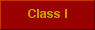  Class I 