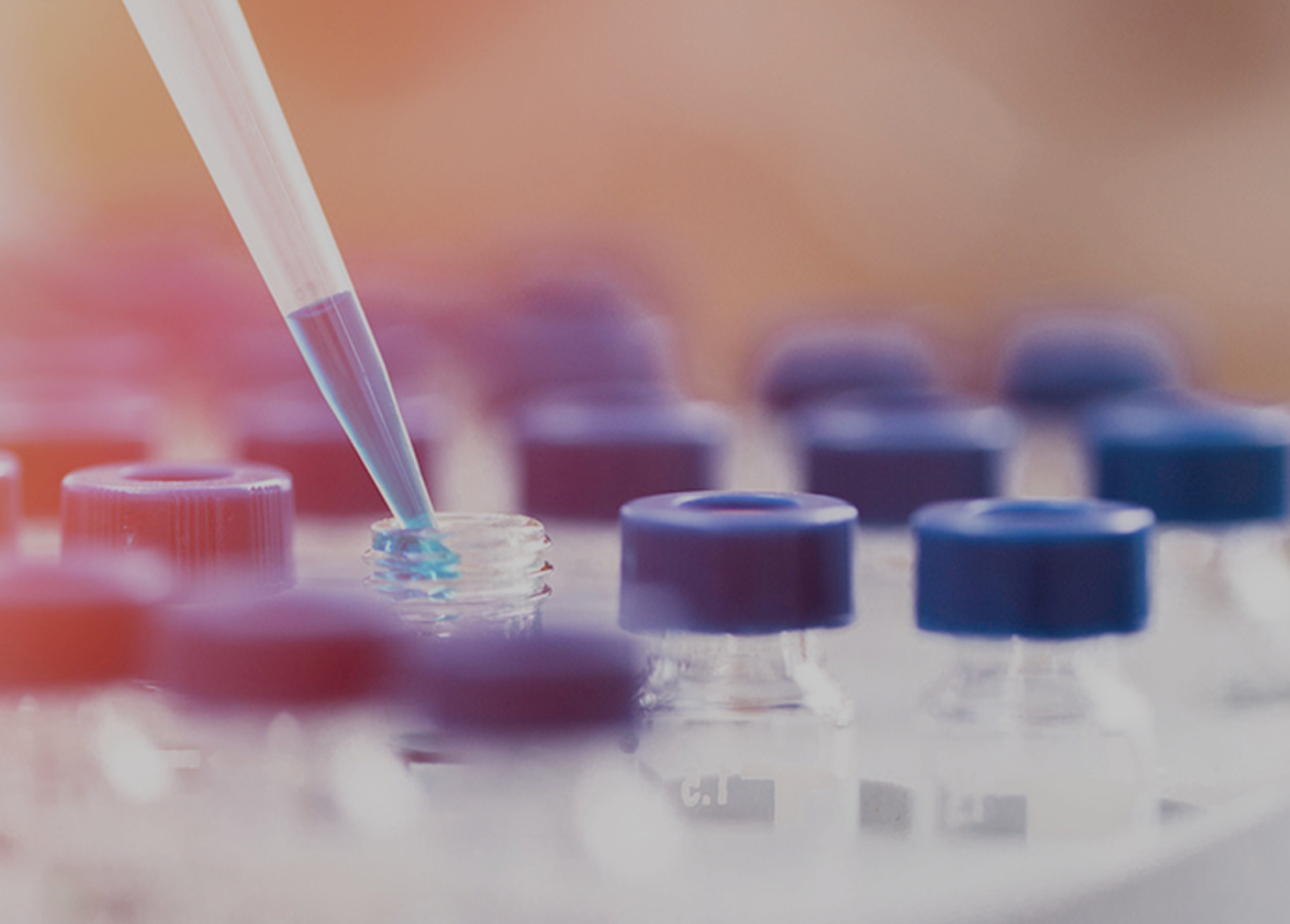 Inflammatory Diseases