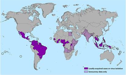 A map showing where the Zika virus is most evident.