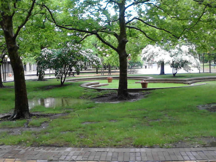 The plaza behind the Medical Science Building, summer of 2014