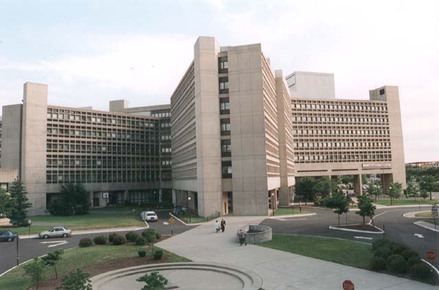 The University Hospital