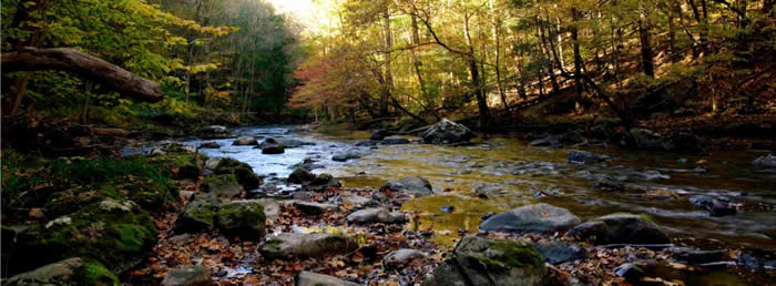 creek