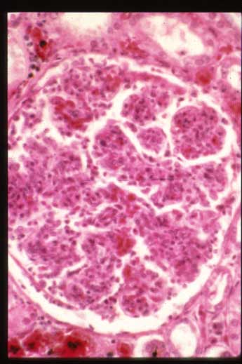slide_41_1.jpg
