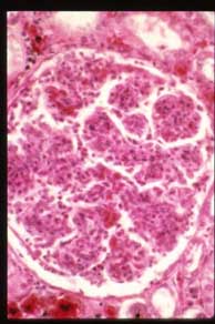 slide_41_1.jpg