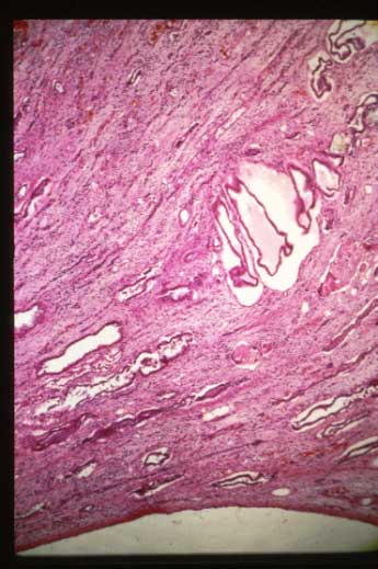 slide_40_3.jpg