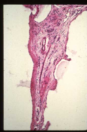 slide_40_4.jpg