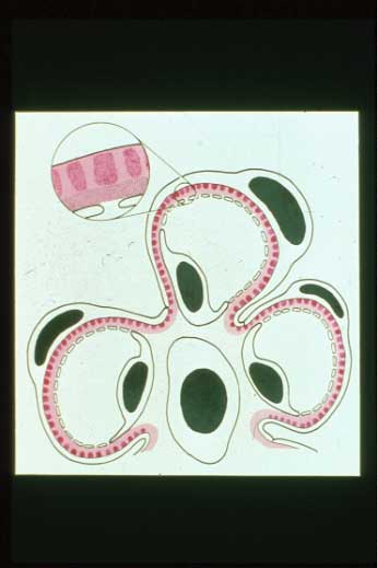 slide_51_1.jpg