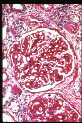 slide_51_2.jpg
