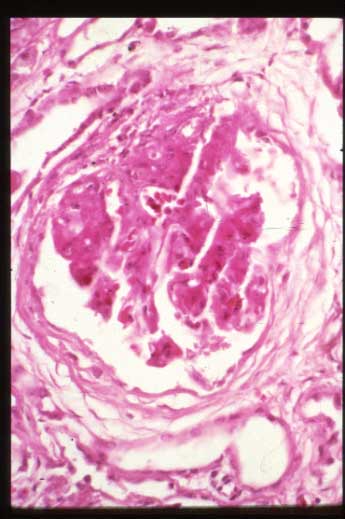 slide_51_3.jpg