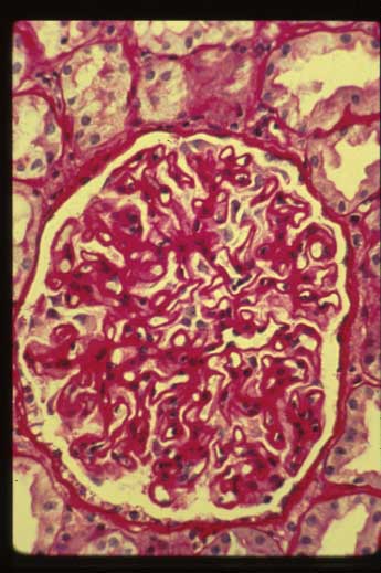 slide_51_4.jpg