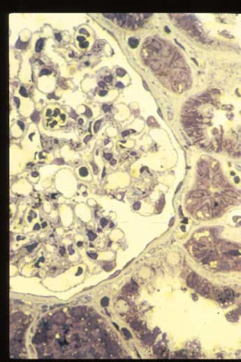slide_51_6.jpg