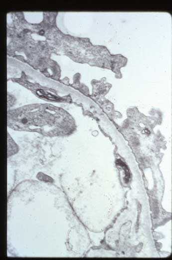 slide-51_7.jpg