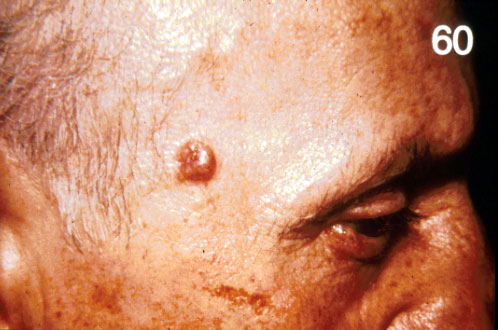 slide_69_1.jpg