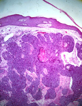slide_69_2.jpg