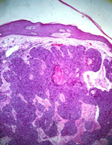 slide_69_2.jpg