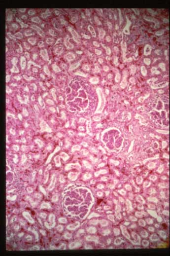 slide_70_3.jpg