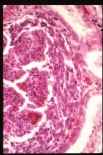 slide_70_5.jpg