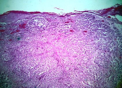 slide_87_1.jpg