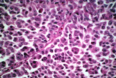 slide_87_4.jpg