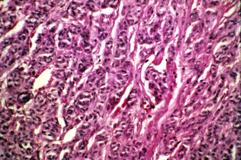 slide_87_5.jpg