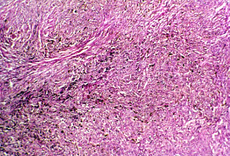 slide_87_6.jpg