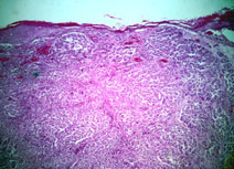 slide_87_1.jpg