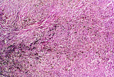 slide_87_6.jpg