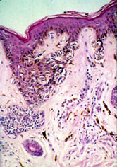slide_87_7.jpg