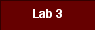  Lab 3 