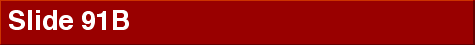  Slide 91B 