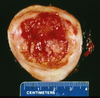 slide_16_2.jpg