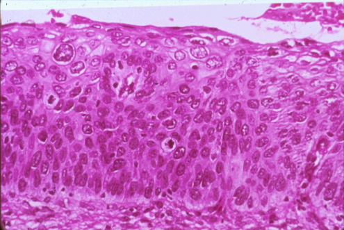 slide_16_3.jpg
