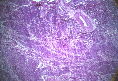 slide_16_4.jpg