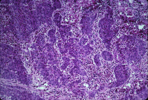 slide_16_5.jpg
