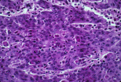 slide_16_6.jpg