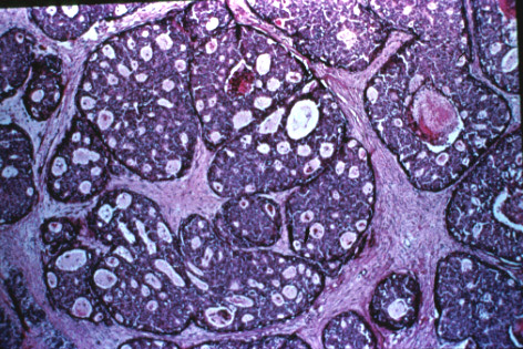 slide_23_2.jpg