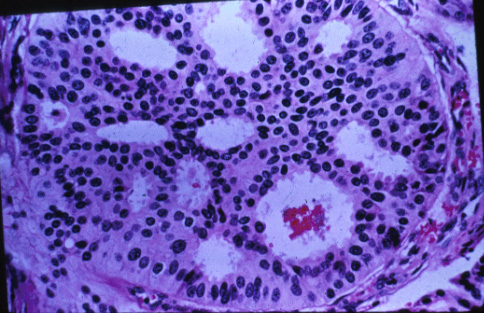 slide_23_3.jpg
