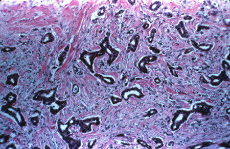 slide_23_4.jpg
