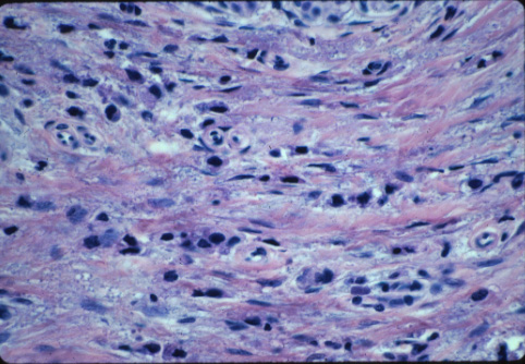 slide_23_5.jpg