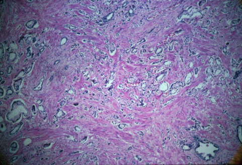 slide_28_2.jpg