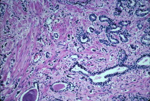 slide_28_3.jpg