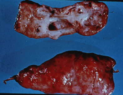 slide_43_1.jpg