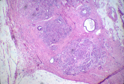 slide_43_4.jpg