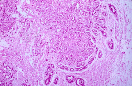 slide_43_5.jpg