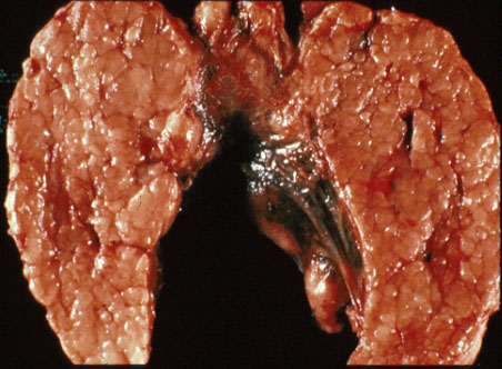 slide_73_2.jpg