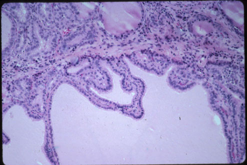 slide_73_4.jpg