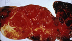 slide_73_1.jpg