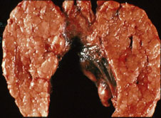 slide_73_2.jpg