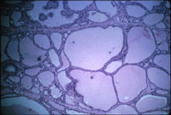 slide_73_3.jpg
