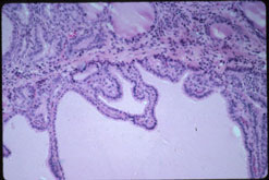 slide_73_4.jpg